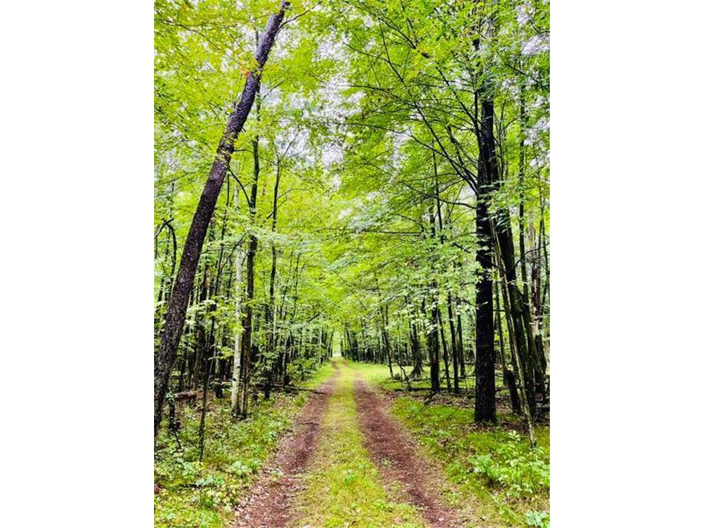 14475 County Road O Grantsburg WI 54840 7076172 image41