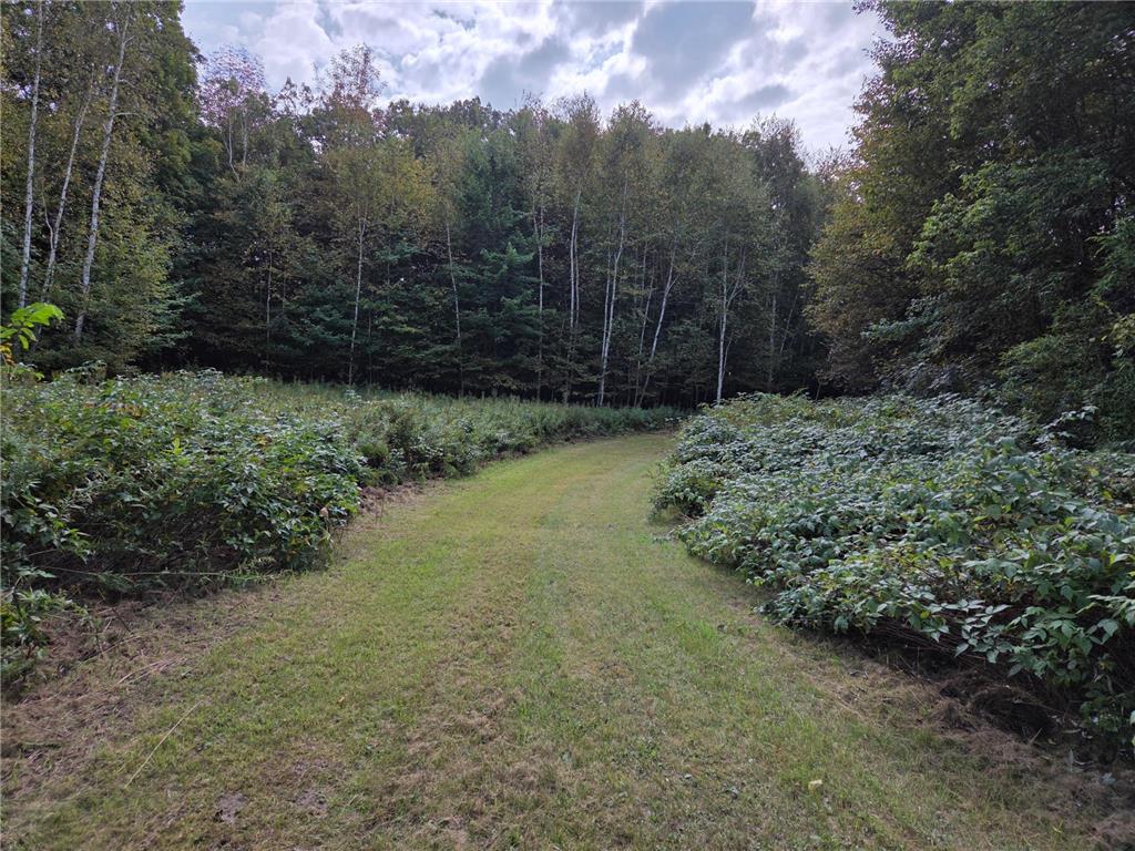 1449 3 1/2 Avenue Dallas WI 54733 6791778 image43
