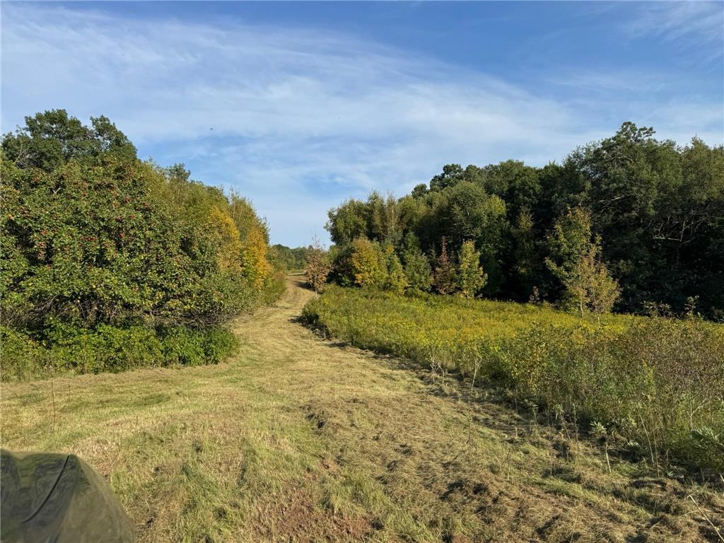 1449 3 1/2 Avenue Dallas WI 54733 6791778 image48