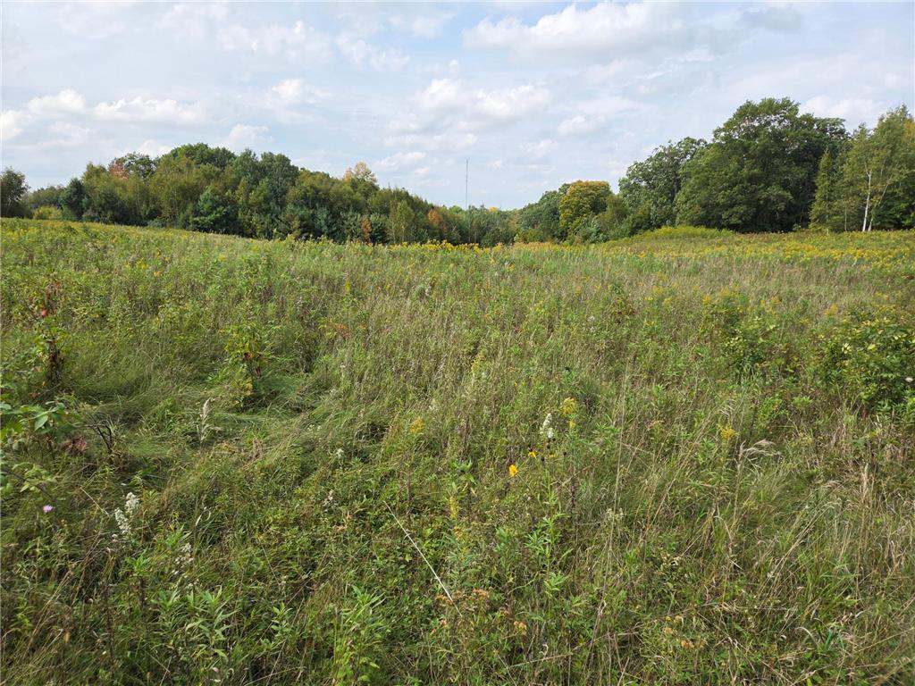 1449 3 1/2 Avenue Dallas WI 54733 6791778 image49
