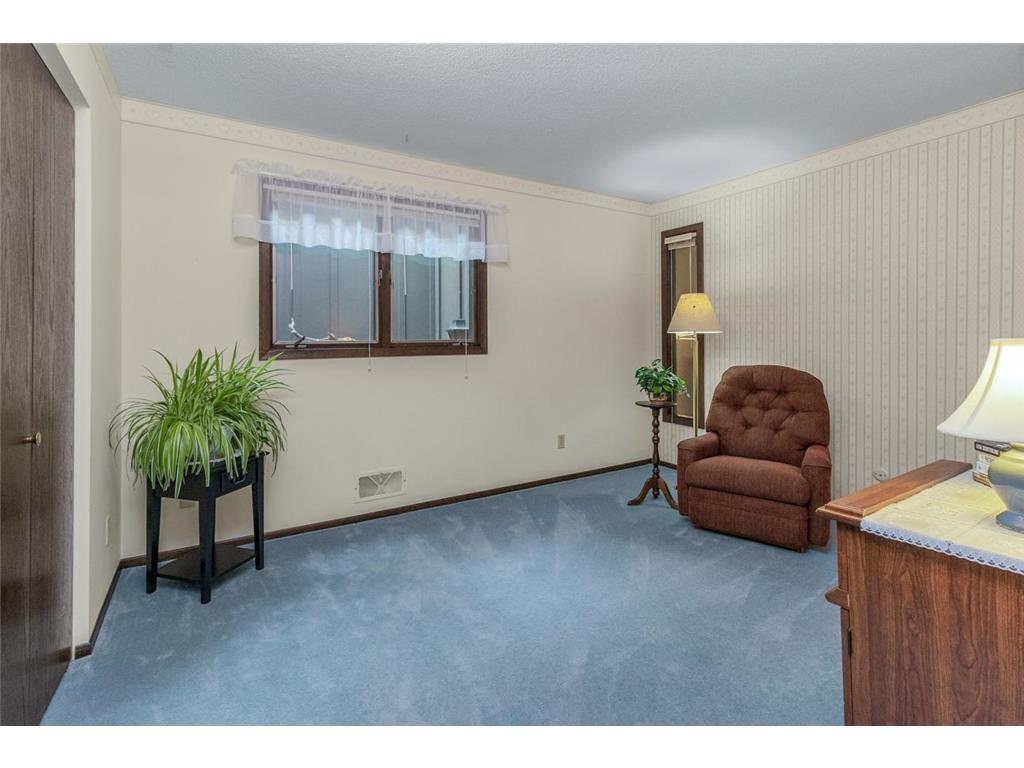 145 Kingswood Drive Red Wing MN 55066 7014688 image19