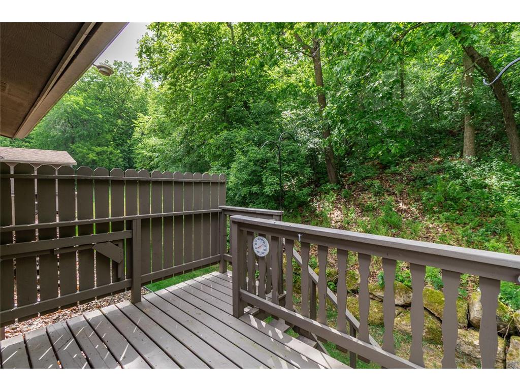 145 Kingswood Drive Red Wing MN 55066 7014688 image32