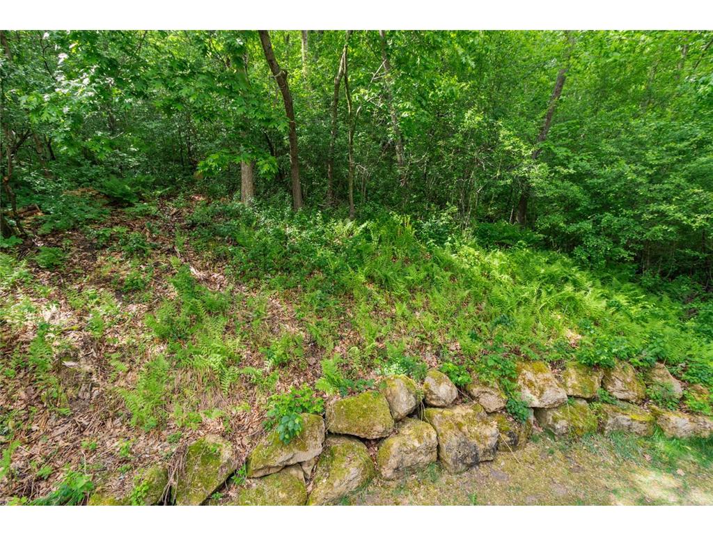 145 Kingswood Drive Red Wing MN 55066 7014688 image34