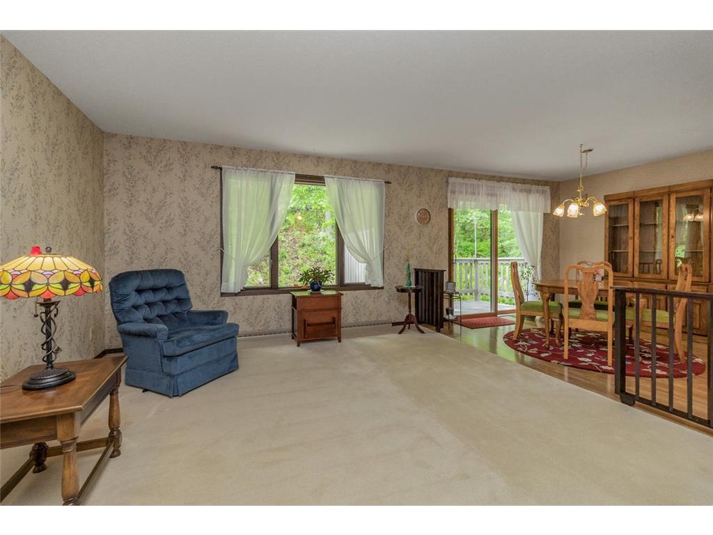 145 Kingswood Drive Red Wing MN 55066 7014688 image4