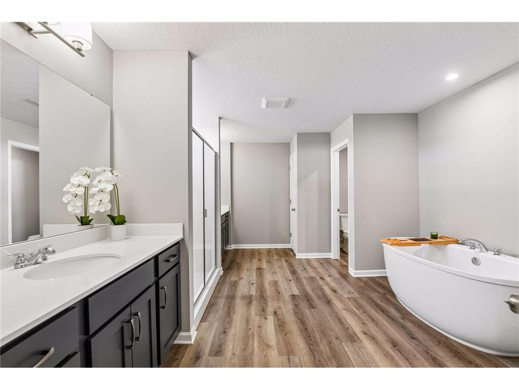 145 Maple Terrace Waconia MN 55387 7096797 image18