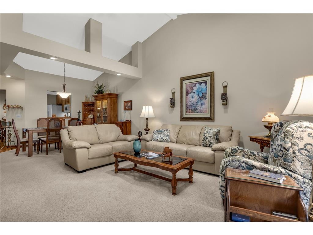 145 Sandpiper Circle Hastings MN 55033 7061190 image13