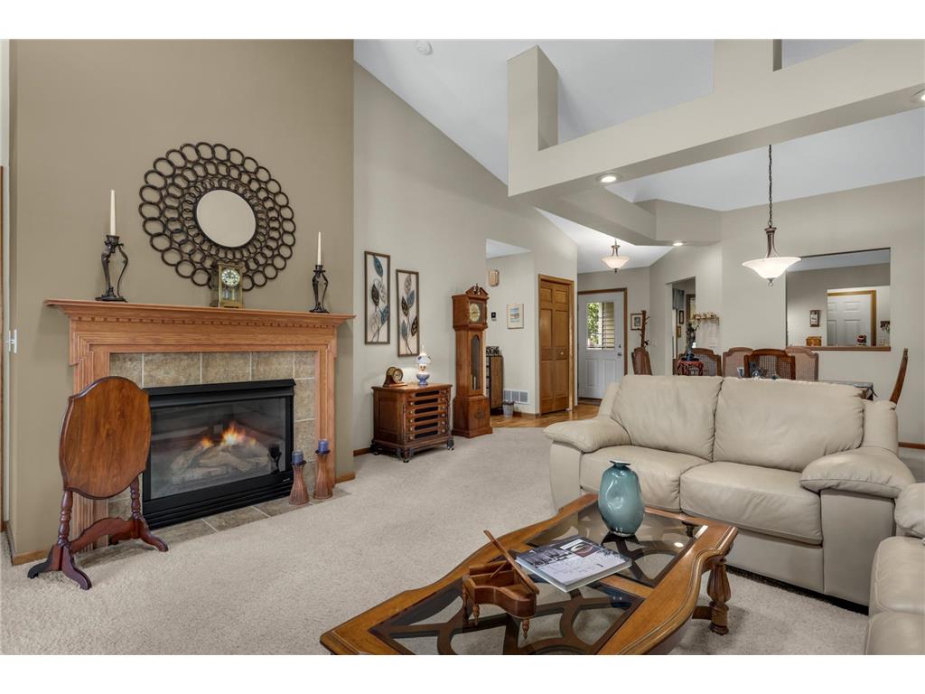 145 Sandpiper Circle Hastings MN 55033 7061190 image14