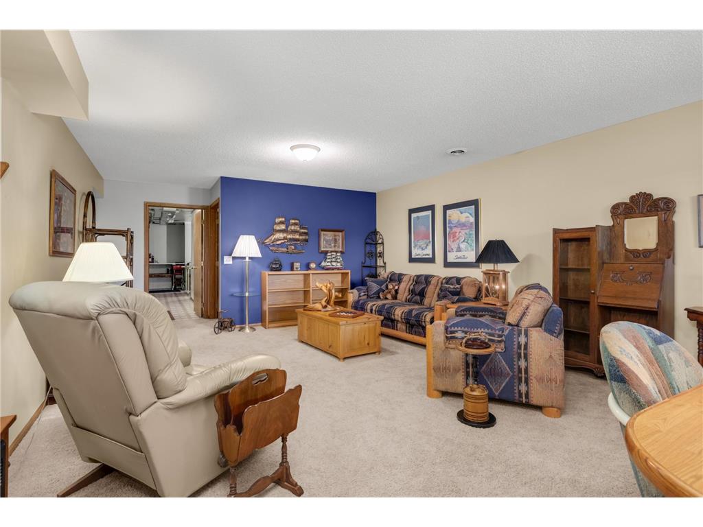 145 Sandpiper Circle Hastings MN 55033 7061190 image27