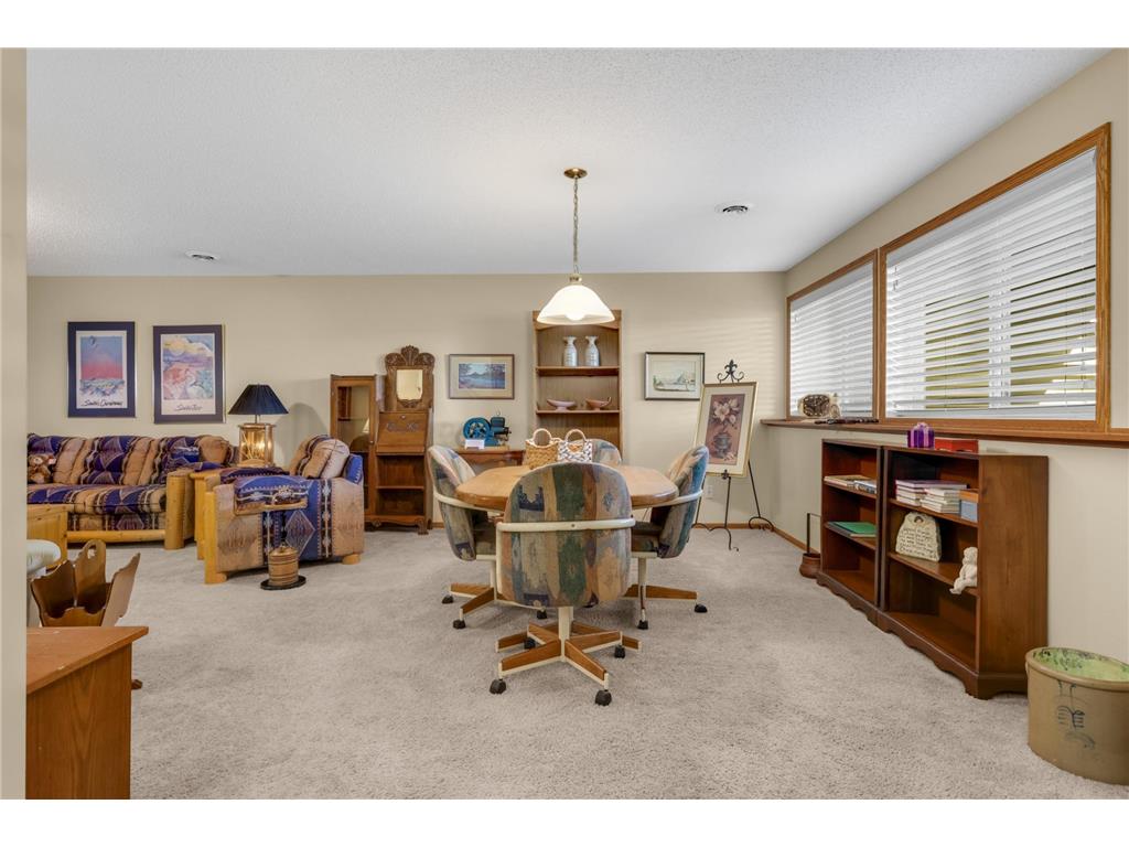 145 Sandpiper Circle Hastings MN 55033 7061190 image28