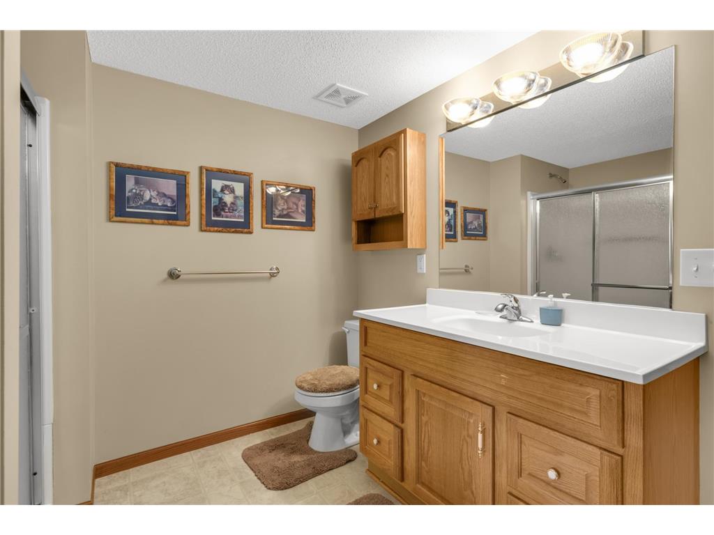 145 Sandpiper Circle Hastings MN 55033 7061190 image31