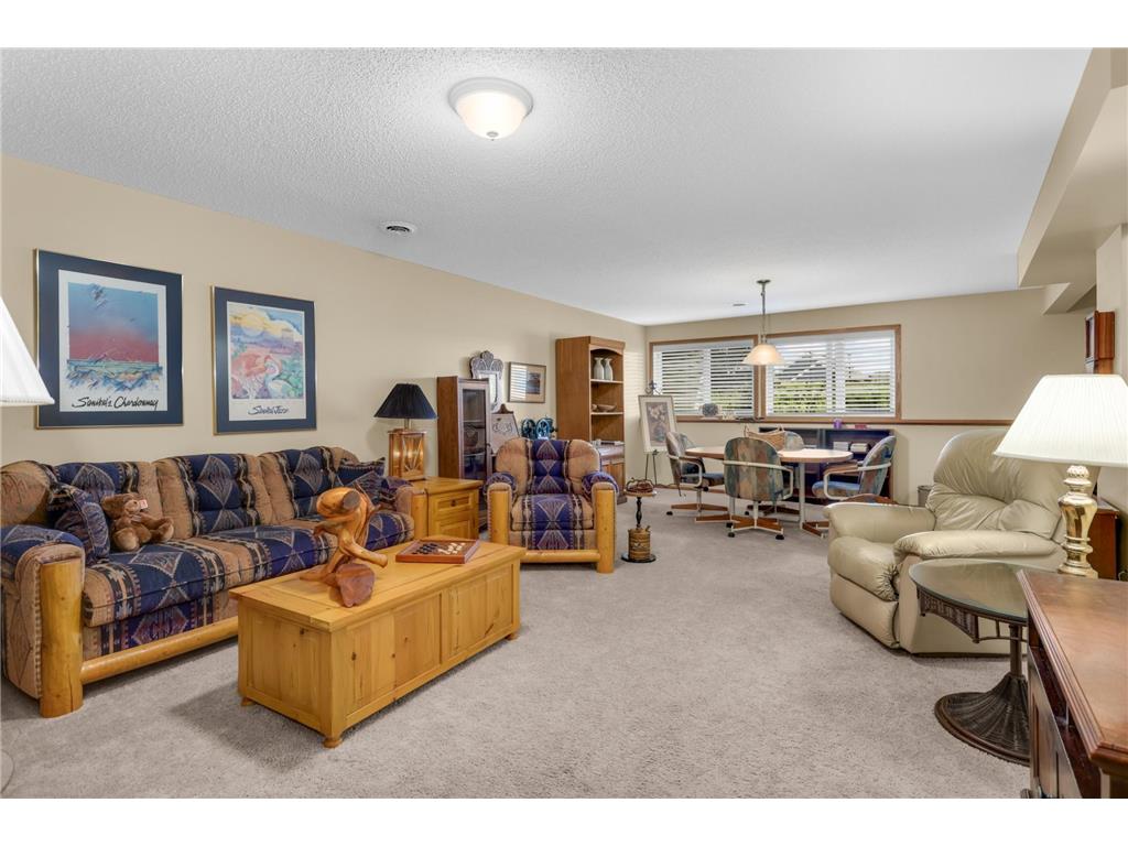 145 Sandpiper Circle Hastings MN 55033 7061190 image7