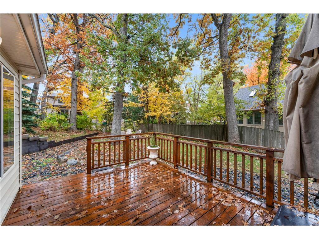 14505 44th Avenue N Plymouth MN 55446 6808148 image29