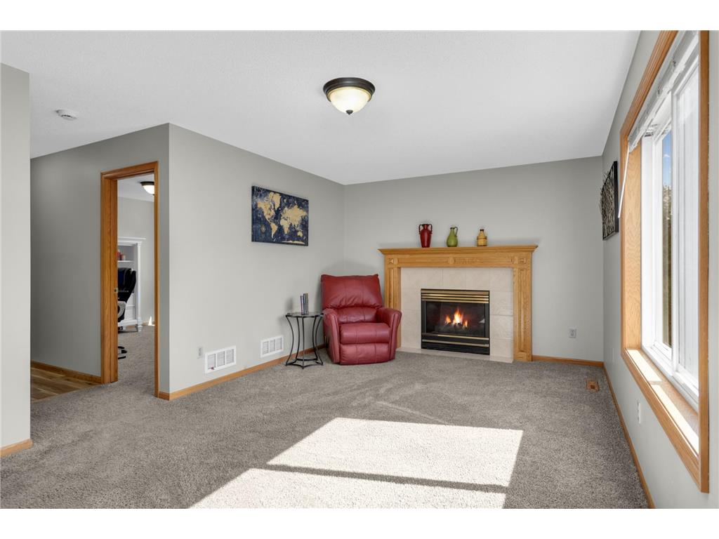 14524 Avocet Street NW Andover MN 55304 7036526 image15