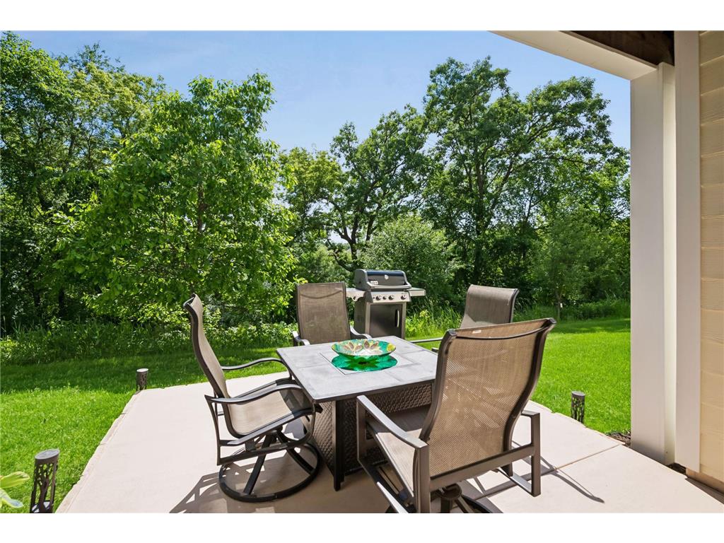 1454 Steeplechase Lane #18 Eagan MN 55122 7083346 image59
