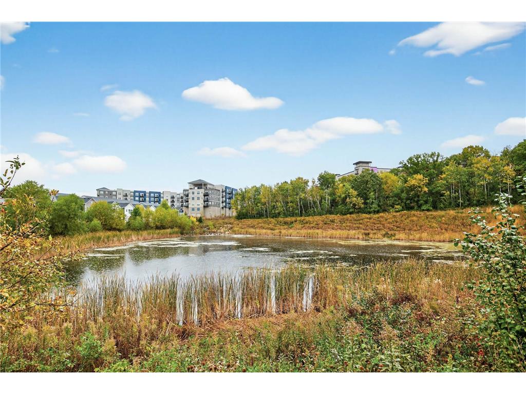 14544 Twin Lakes Circle Burnsville MN 55306 6802387 image35