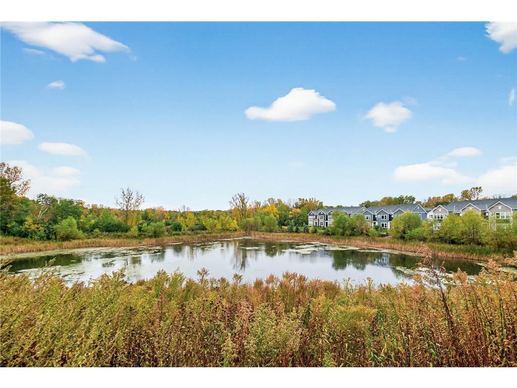 14544 Twin Lakes Circle Burnsville MN 55306 6802387 image42