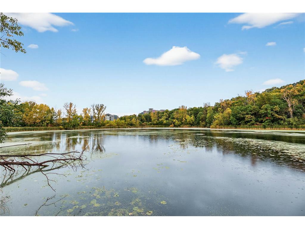 14544 Twin Lakes Circle Burnsville MN 55306 6802387 image43