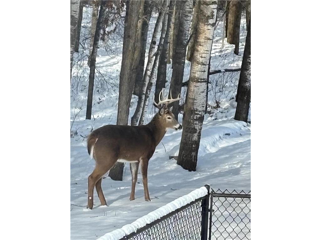 14545 Grand Oaks Drive Baxter MN 56425 7004403 image36