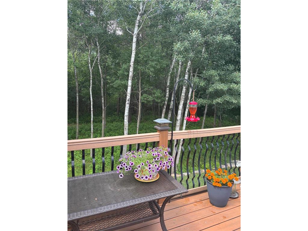 14545 Grand Oaks Drive Baxter MN 56425 7004403 image42