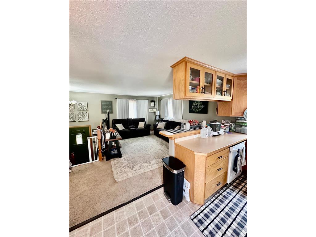 1455 Adams Street S Cambridge MN 55008 7070919 image7