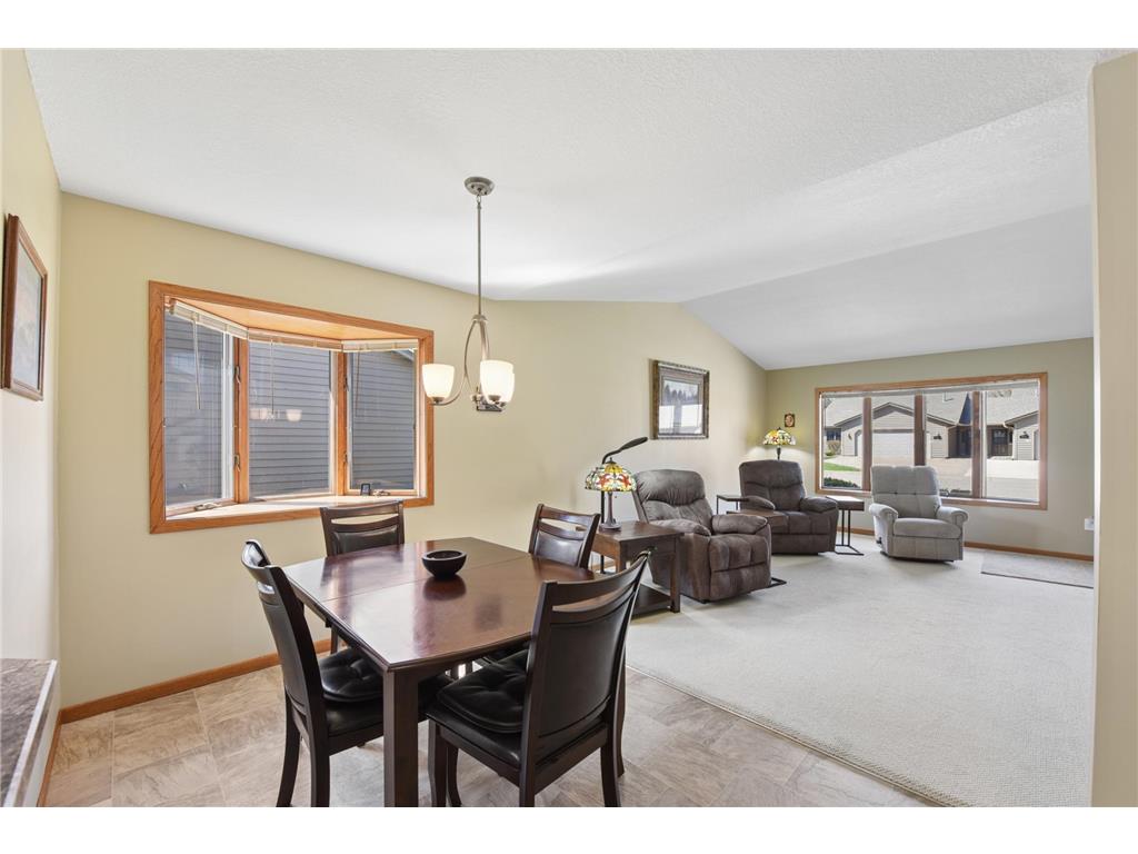 1455 Pringle Court Hastings MN 55033 7054774 image9