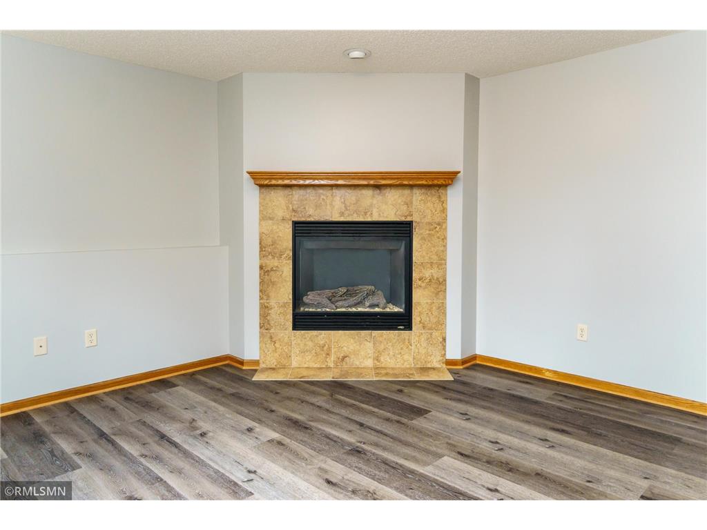 14556 Blackberry Way Rosemount MN 55068 7054644 image23