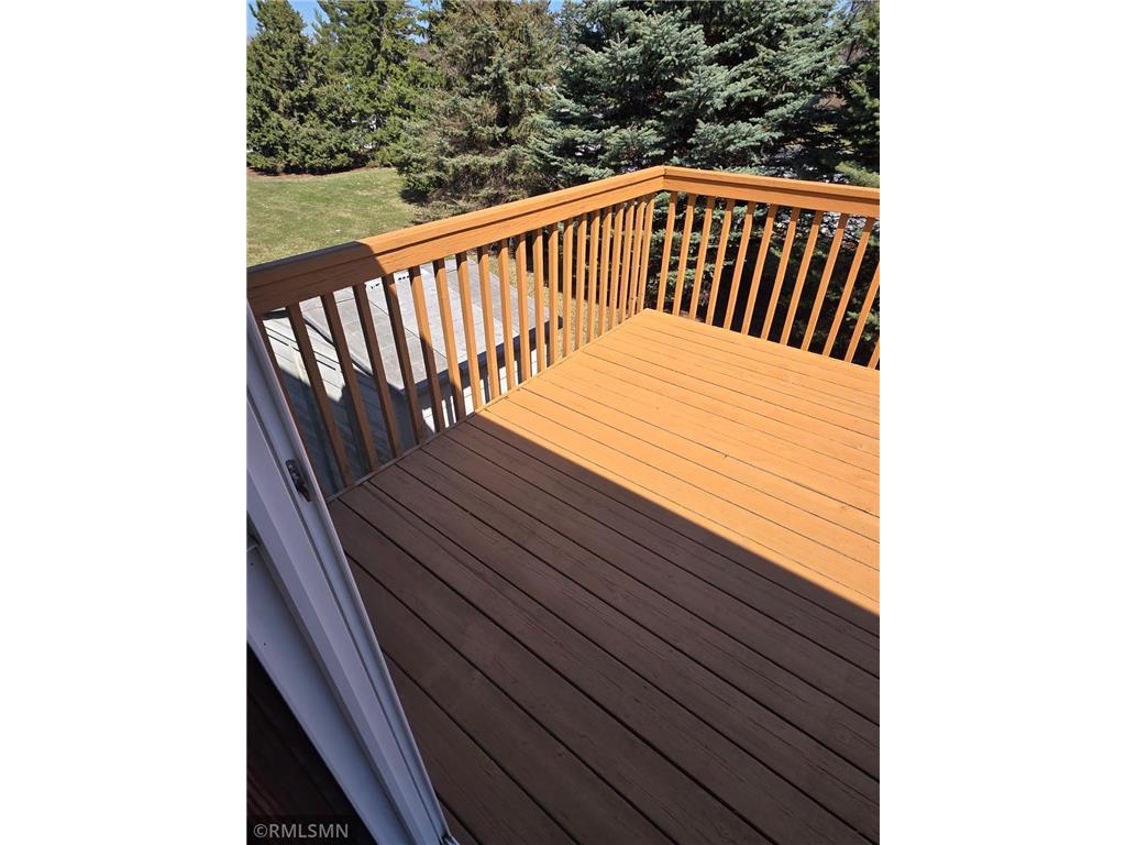 14556 Blackberry Way Rosemount MN 55068 7054644 image33