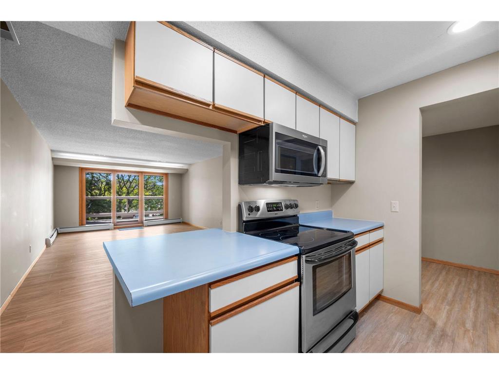 14575 Burma Avenue W #303 Rosemount MN 55068 7096058 image16