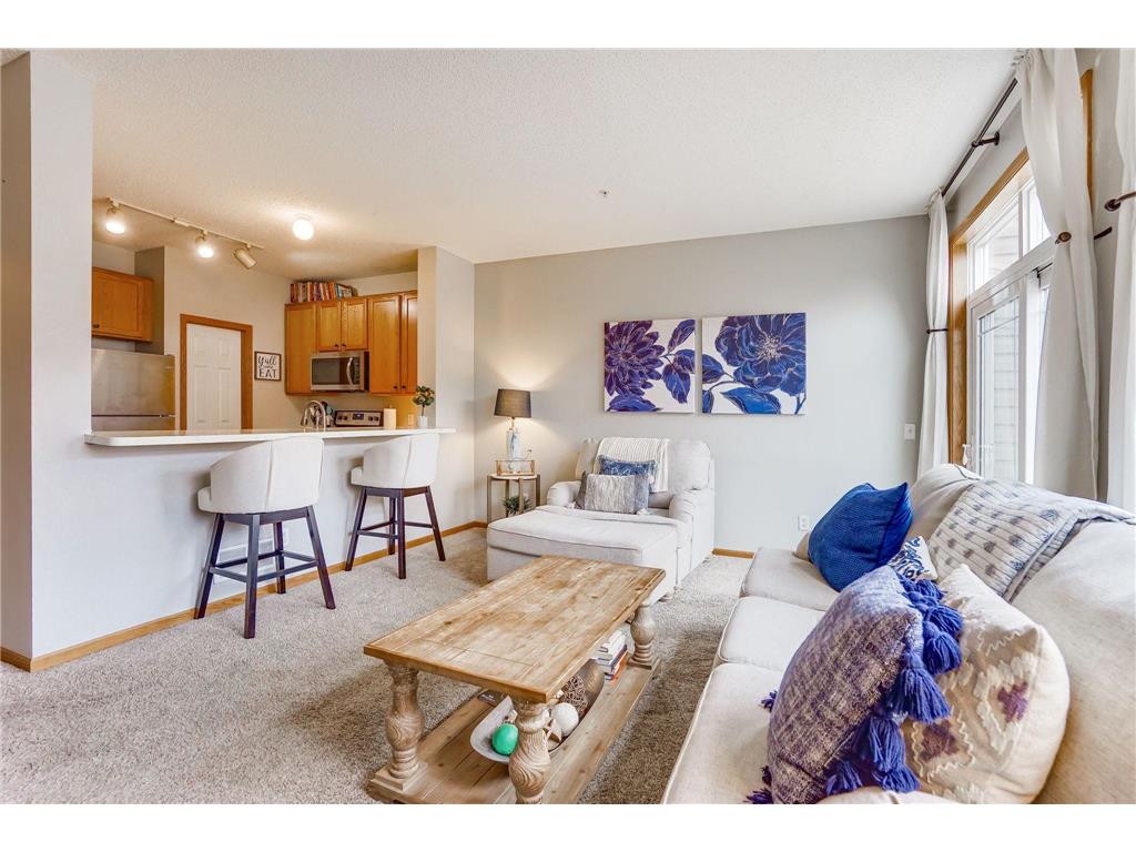 14587 Olivine Way NW Ramsey MN 55303 6756682 image1