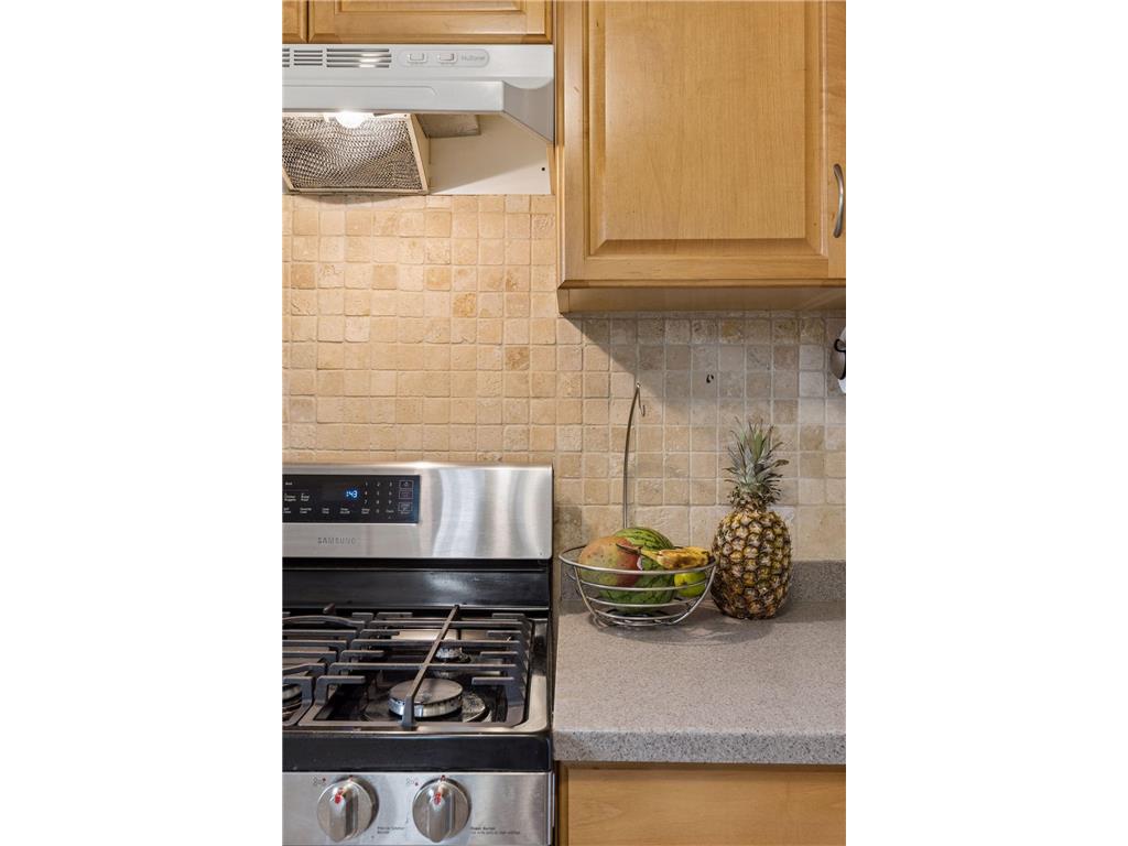 1459 Pascal Street N Saint Paul MN 55108 7104068 image20