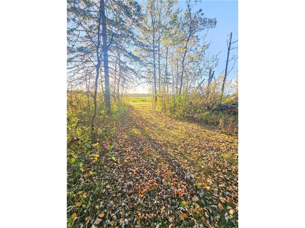 14590 380th Street NE Spruce Valley Twp MN 56737 6808760 image15