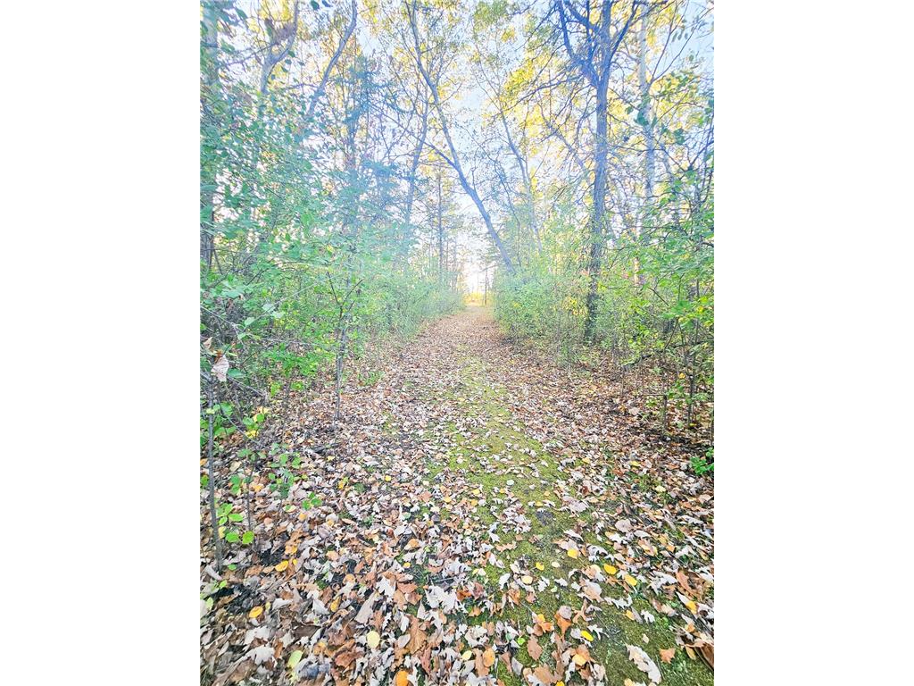 14590 380th Street NE Spruce Valley Twp MN 56737 6808760 image16