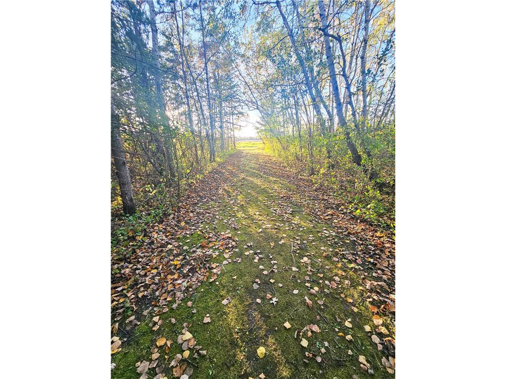 14590 380th Street NE Spruce Valley Twp MN 56737 6808760 image17