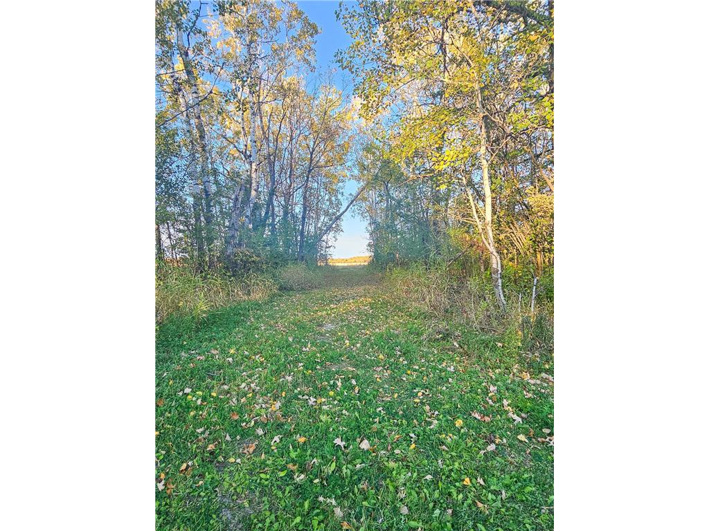 14590 380th Street NE Spruce Valley Twp MN 56737 6808760 image18