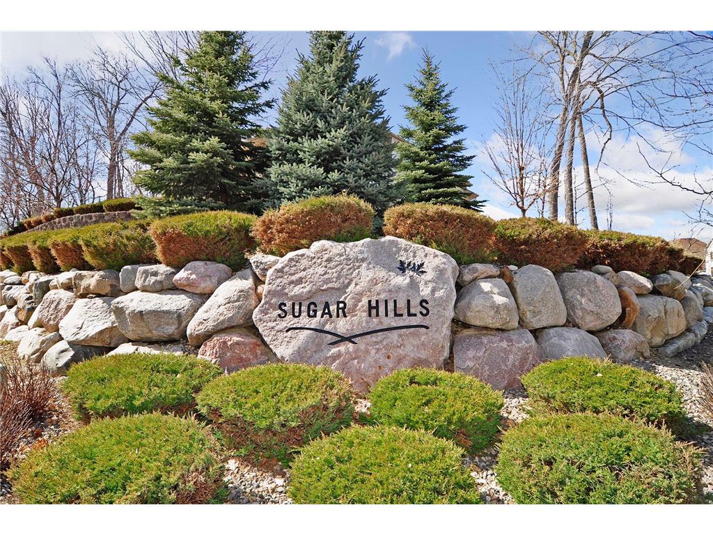 14595 43rd Avenue N Plymouth MN 55446 7090365 image107