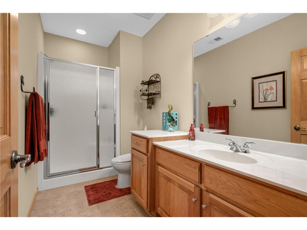 14598 Hunters Lane Savage MN 55378 7086851 image35