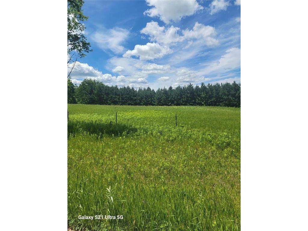 TBD 145th Burleene Twp MN 56446 7096559 image1