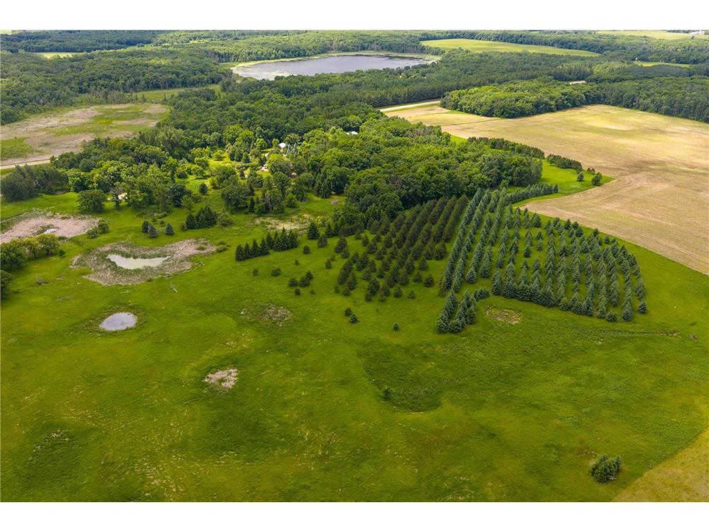 TBD 145th Burleene Twp MN 56446 7096559 image10