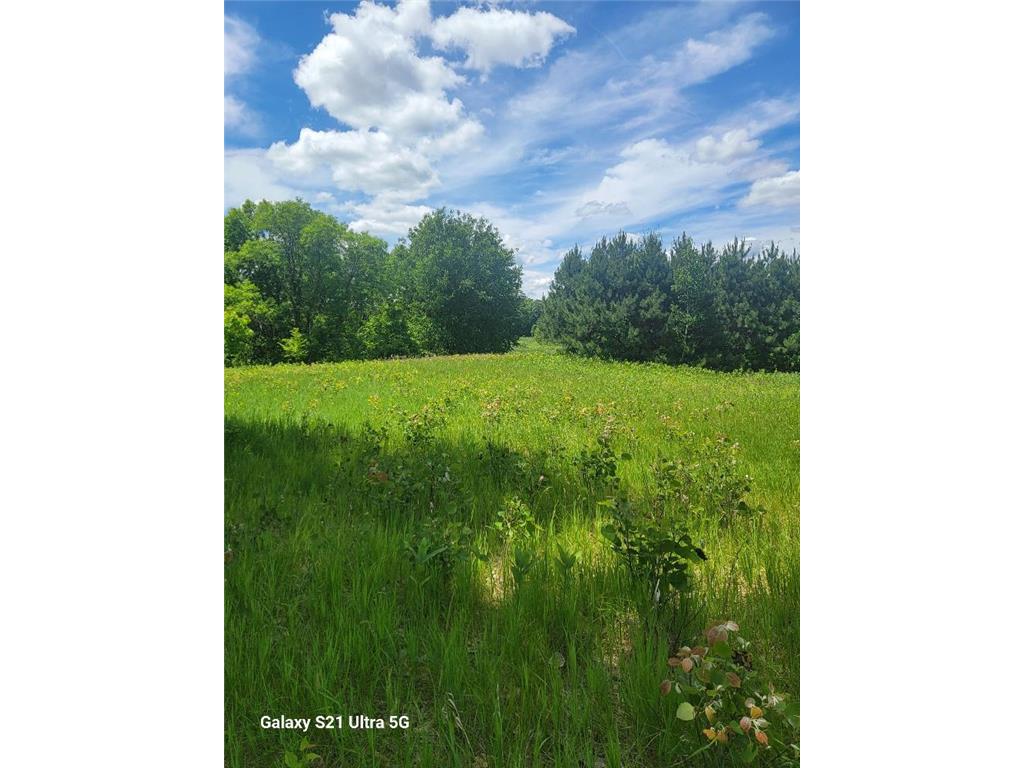 TBD 145th Burleene Twp MN 56446 7096559 image11