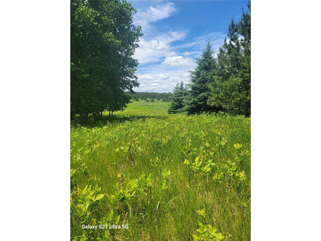 TBD 145th Burleene Twp MN 56446 7096559 image12