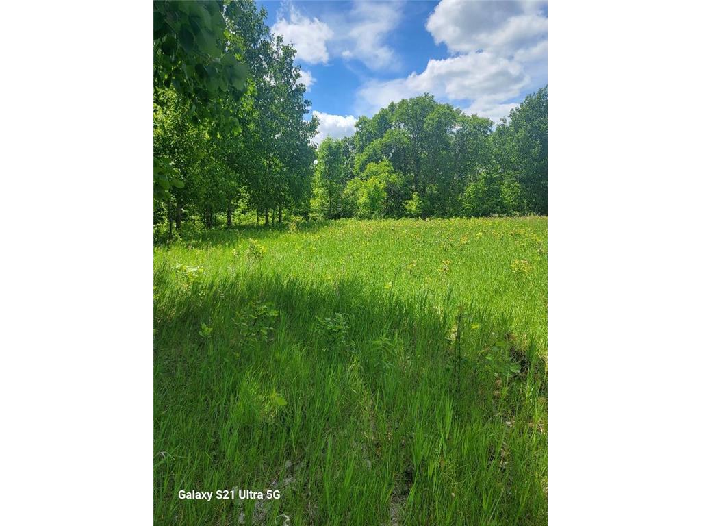 TBD 145th Burleene Twp MN 56446 7096559 image13