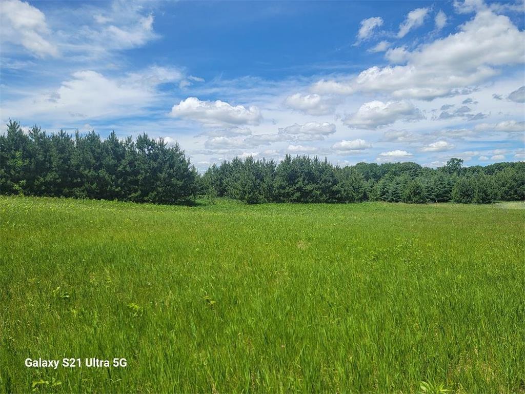 TBD 145th Burleene Twp MN 56446 7096559 image14