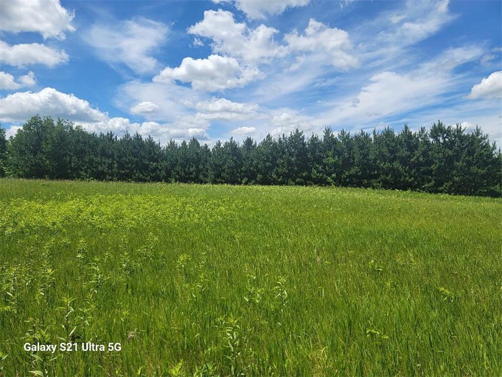 TBD 145th Burleene Twp MN 56446 7096559 image15