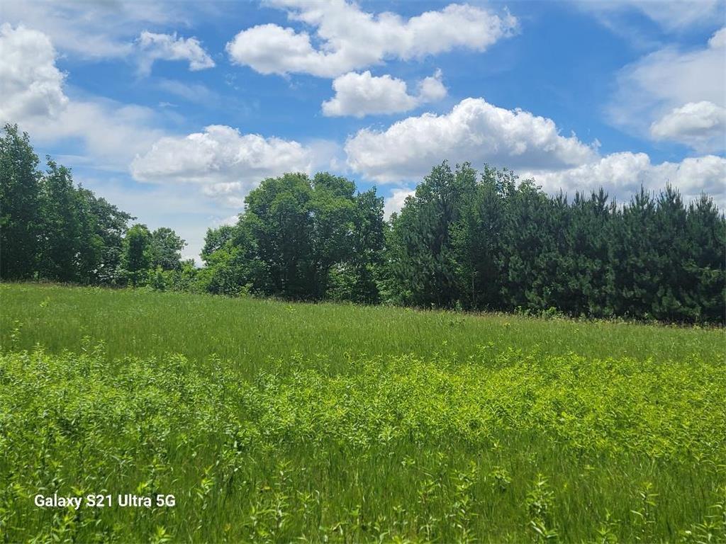 TBD 145th Burleene Twp MN 56446 7096559 image2