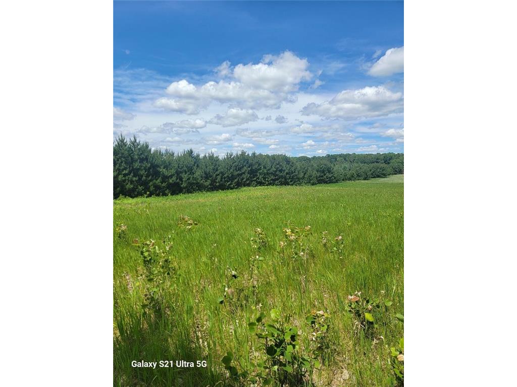 TBD 145th Burleene Twp MN 56446 7096559 image4