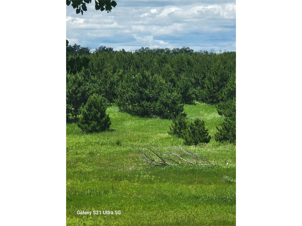 TBD 145th Burleene Twp MN 56446 7096559 image6