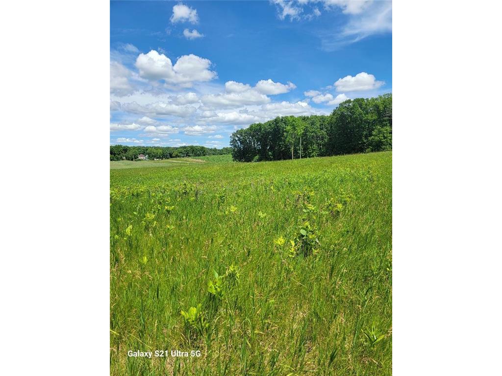 TBD 145th Burleene Twp MN 56446 7096559 image7