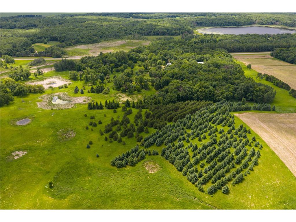 TBD 145th Burleene Twp MN 56446 7096559 image8