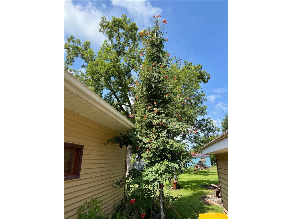 146 Washington Avenue Alden MN 56009 - Morin 6801101 image42