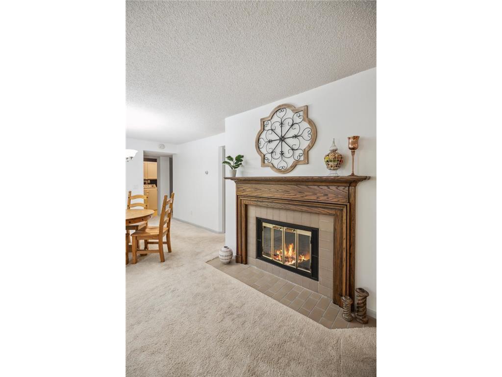 14601 Atrium Way #329 Minnetonka MN 55345 6677650 image4